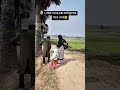 #shorts #ytshorts #funny #viral #comedy #fyp #banglashorts #memes #VorNoctisPlays #bdcreator