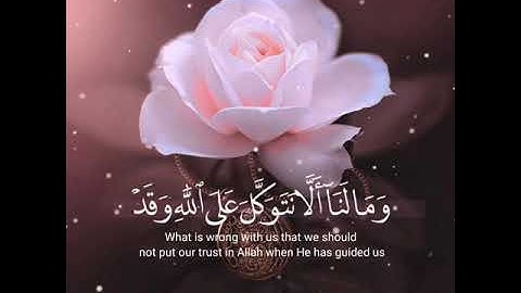 قرآن كريم بصوت إسلام صبحي | حالات واتس اب دينية - سورة إبراهيم ستوري - قرآن كريم QURAN Status