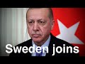 Turkey: Sweden to join NATO
