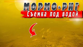 Мормо Риг - Все что нужно узнать | Микроджиг, Наноджиг, Мормышинг