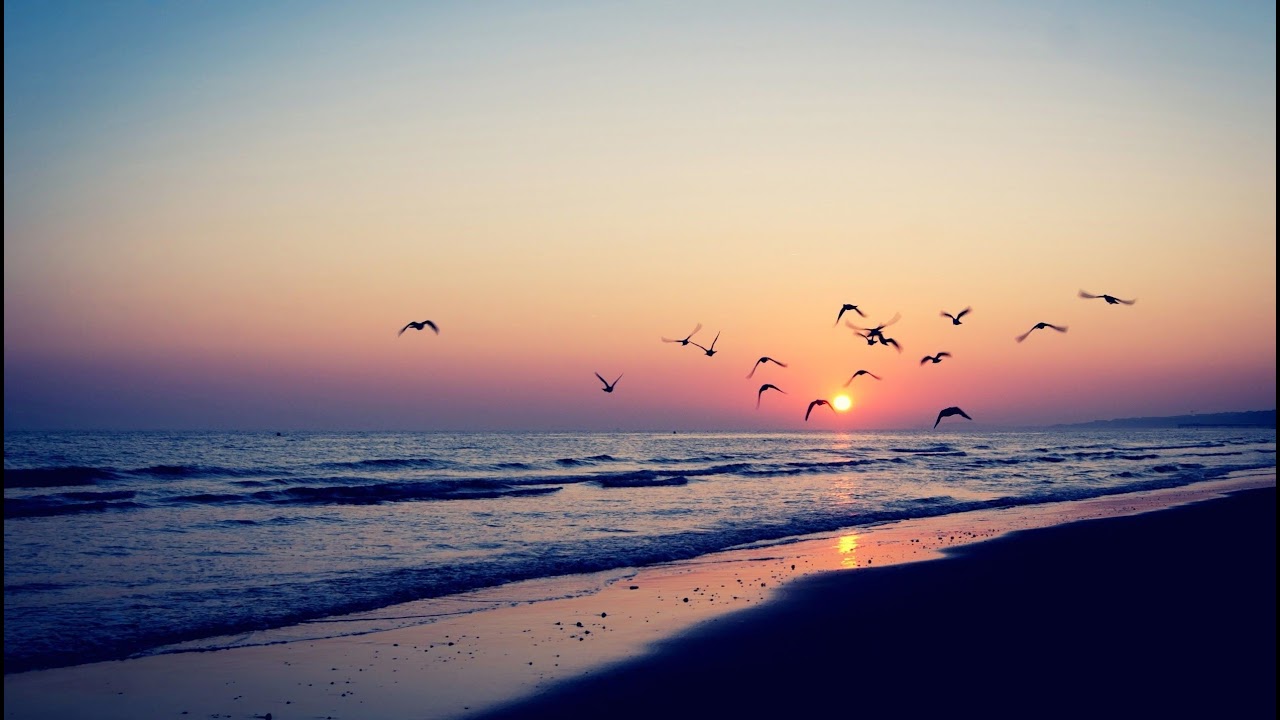 Walter Araujo y Toda la Verdad.    PROG. 06   (16ENE2026)