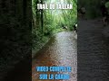 Trail de 20 bornes bien gras 