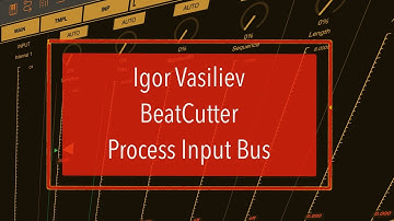 Igor Vasiliev BeatCutter - Tutorial Part 5: Process one Input Bus