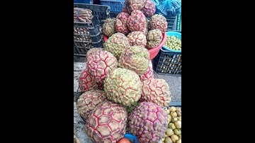 Quả Na Rừng Tây Bắc Ngâm Rượu 0968.956.832 - 0949.356.832