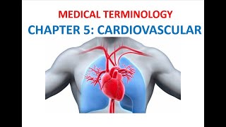 Language of Medicine Medical Terminology Chapter 11 Flashcards - Cardiovascular System