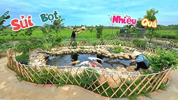 Thả Chú Cá Đầu Tiên Xuống Ao Cũ Và Không May Bể Trắm Đen Lại Gặp Sự Cố Vì Mưa To / Quế Nghịch