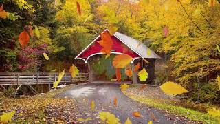 Peaceful music, Relaxing music, Instrumental music 'Autumn Leaves: Tim Janis