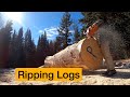 Ripping logs with a chainsaw - free handing straight cuts
