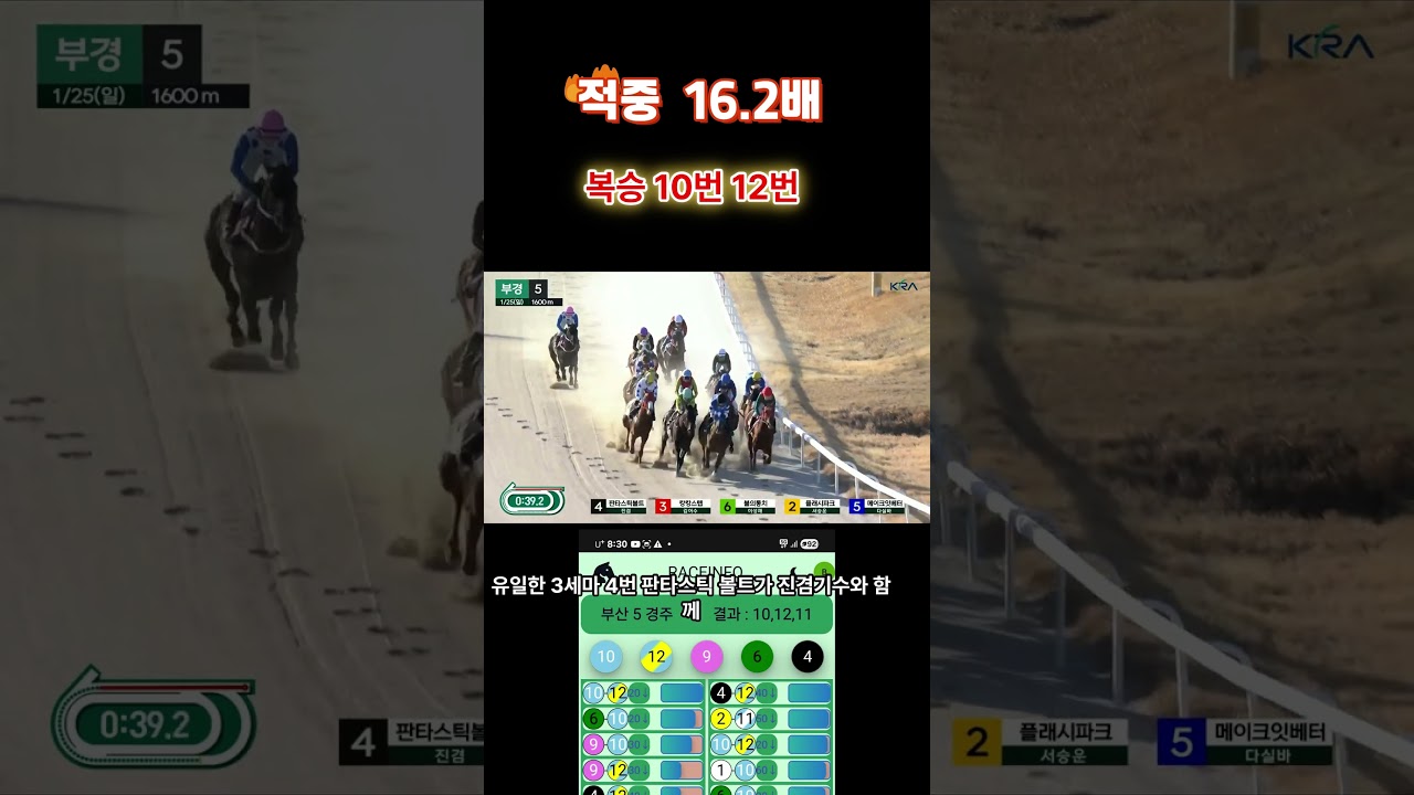 부산5경주(1/25)#short