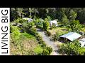 Tour an amazing permaculture farm with food forest gardens  tiny house community