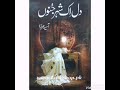 Novel | Dil ik shehar e junoonدل اک شہر جنوں | Asia Mirza | E#8