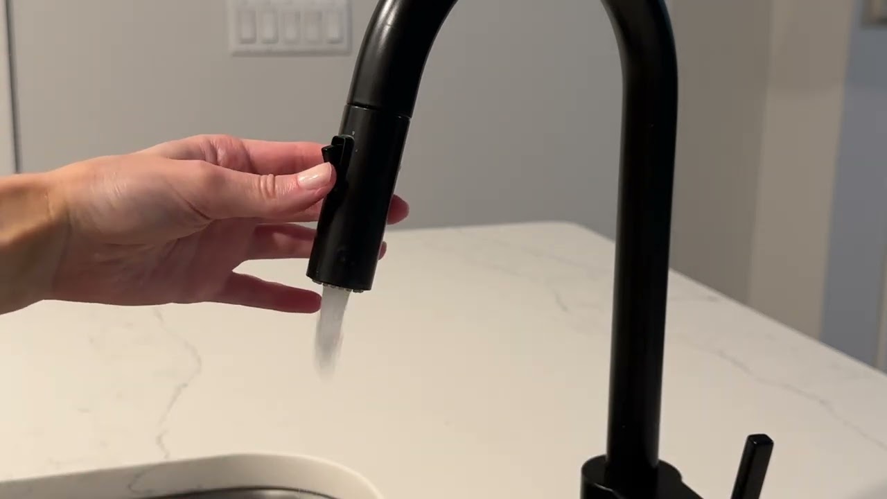 Moen Matte Black Stainless Steel Sink Faucet review