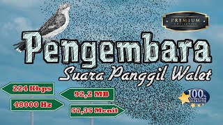 PANGGIL WALET PENGEMBARA Suara Walet Teruji dan Respon