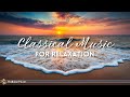 4 Hours Classical Music for Relaxation