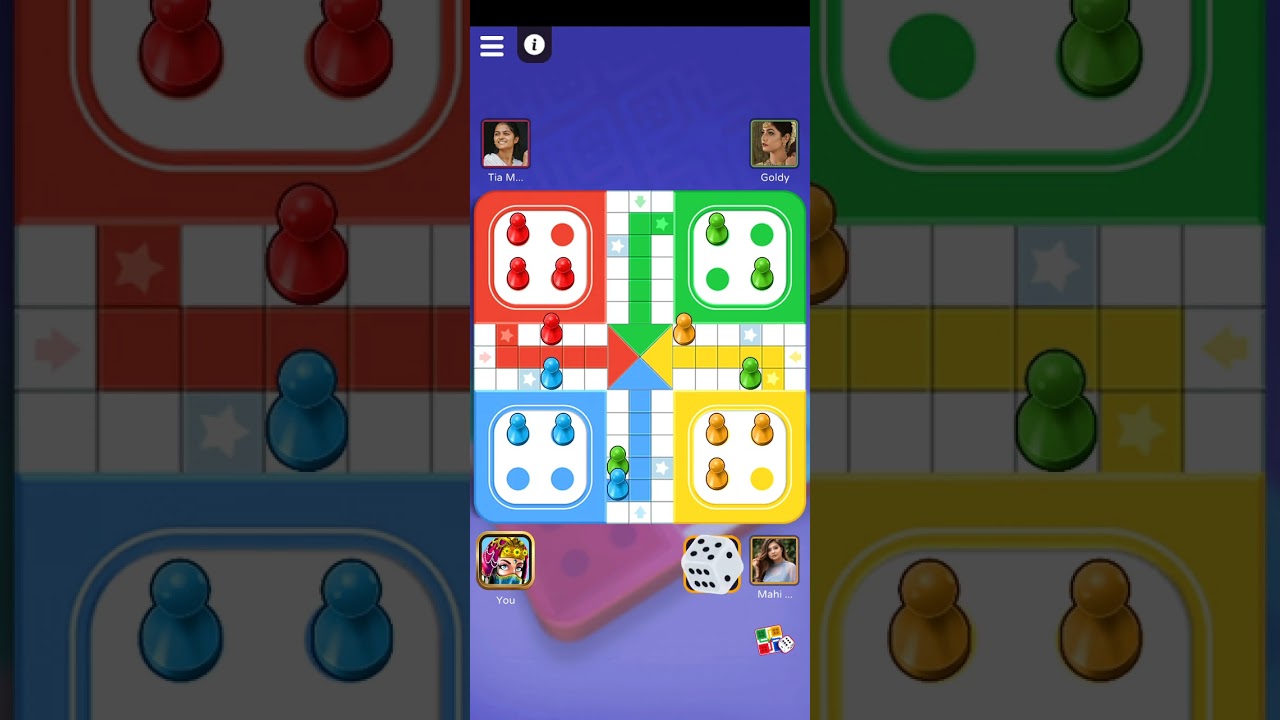 ludo 4 ply game