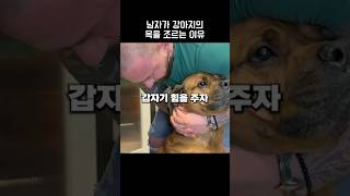 남자가 강아지의 목을 조르는 이유