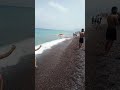 خروج سمكة ضخمة الى شاطئ تيبازة الجزائر خروج سمكة ضخمة الى شاطئ تيبازة الجزائر