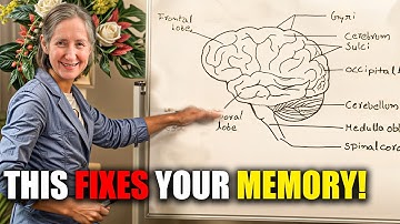 I Reversed Memory Loss in Weeks—Here’s How! (Doctors Are Shocked!) | Barbara O’Neill