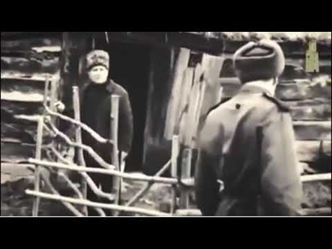 23 февраля день депортации чеченцев 23 февраля день депортации чеченцев