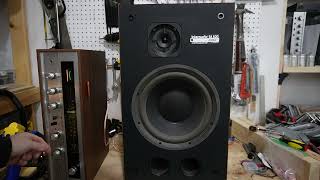 InterAudio SA500 Speaker Repair