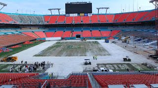 The Tropical Disaster: Sun Life Stadium Profile