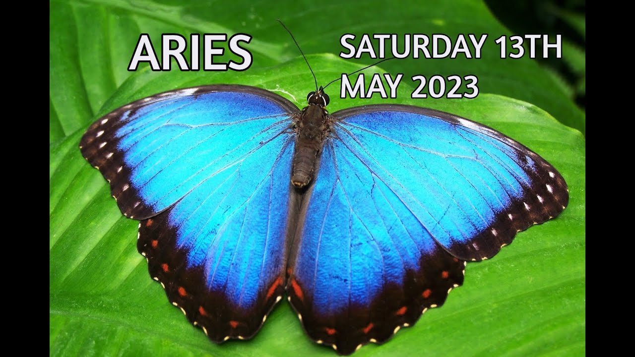 ARIES SATURDAY MAY 13TH 2023 DAILY TAROT READING YouTube ARIES SATURDAY MAY 13TH 2023 DAILY TAROT READING YouTube
