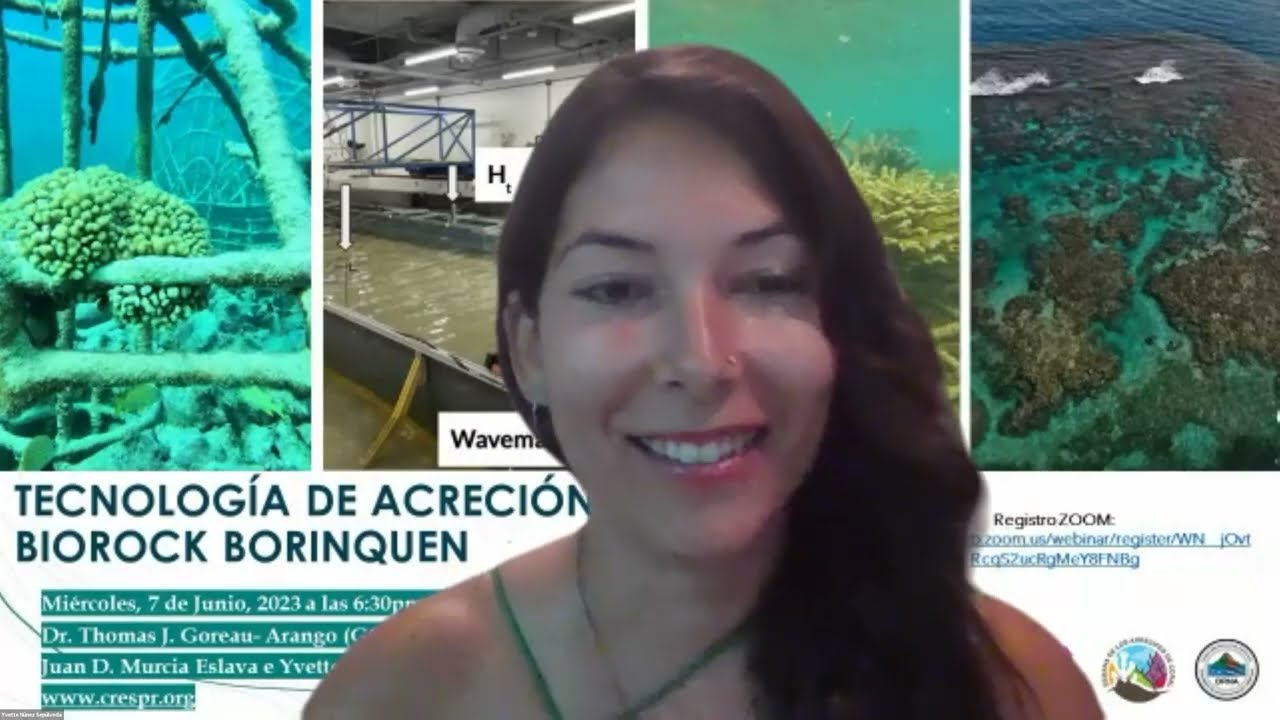 Tecnología de Acreción Mineral en Arrecifes Coral PR ¨BioRock Technology¨ Dr. Tom Goreau- Arango