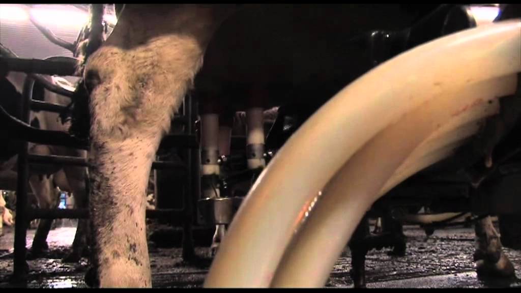 Karstulan esittelyvideo