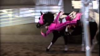 Trick Riding