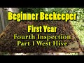❶ Beginner beekeeper - Fourth Hive Inspection - Part 1 West Hive FLASHBACK