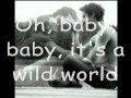 Mike Bailey - Wild World (lyrics)