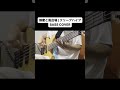 蜂蜜と風呂場 / クリープハイプ 【BASS COVER】 #ベース #弾いてみた #クリープハイプ