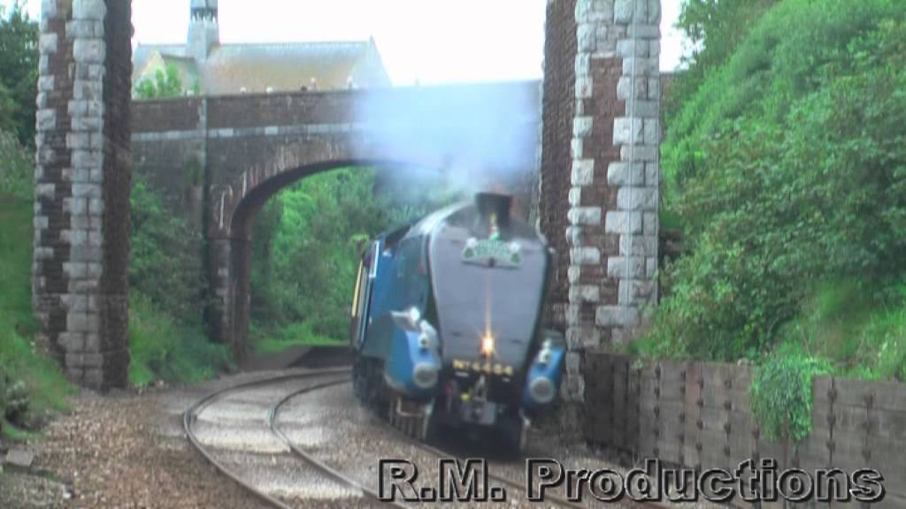 Horns, Hoots, Tones and Whistles Compilation 2012