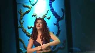 Part Of Your World - Ashley Ferraro - Five Towns College