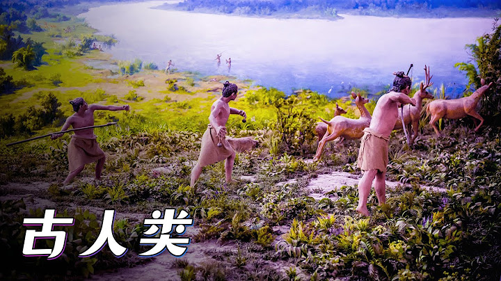 6萬年前的古人類不會說話是如何造船，橫渡大洋殖民新大陸【宇宙自然生命簡史】 - 天天要聞