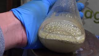 Lab Notes - Successful Glassware Protection For Sodium Production - August 18Th