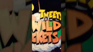 WARNER BROTHERS AMUSEMENT #video #shortvideo #shorts #short #viral #viralvideo