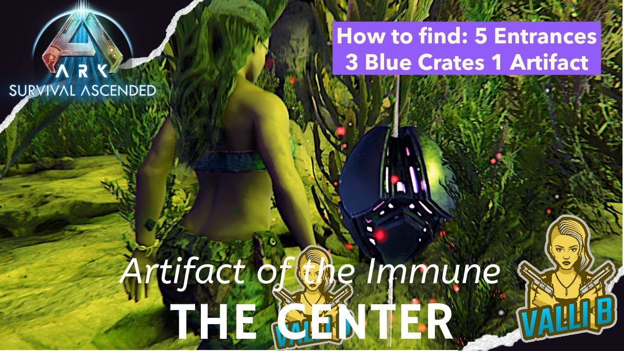 Navigating the cave system for the Artifact of the Immune The Center ASA