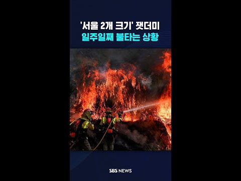 '서울 2개 크기' 잿더미…일주일째 불타는 상황 #shorts