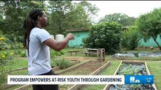 Gangstas to Growers empowers young people through farming in Atlanta