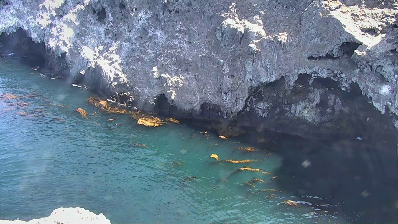 camera iphone 8 plus apk Anacapa Island Cove - Channel Islands National Park Cam 09-11-2018 13:31:19 - 14:31:20