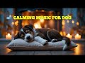 Dog Relaxation Healing Melodies for 12 HOURS 🐶 Calm Anxiety and Promote Better Sleep