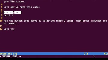 Running Python Code from Vim Window