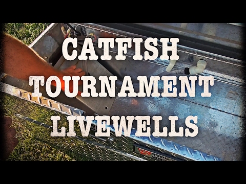 Catfish Tournament Livewells 