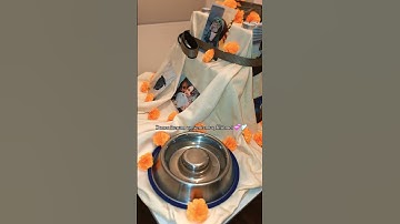 Donec iterum conveniamus, filii mei. 💕🪽 #fyp #DiaDeLosMuertos #petloss #rainbowbridge