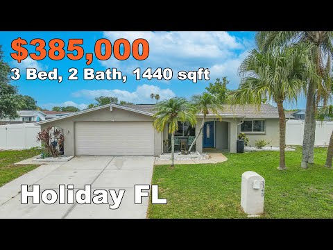 3145 Domino Dr, Holiday, FL home video tour