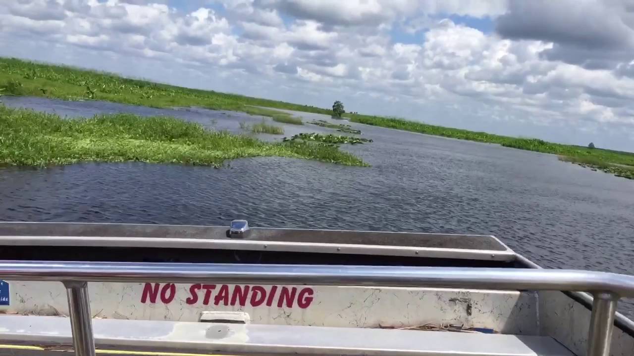 Twister Airboat Ride at Lone Cabbage Fish Camp YouTube