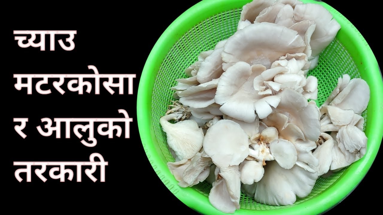  आज च्याउ मटरकाेसा र आलु मिक्स गरेर यसरी पकाए तरकारी | Mushroom Recipe | mushroom curry | 