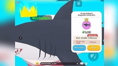 Câu thành công cá mập khổng lồ Megalodon Vương Miện