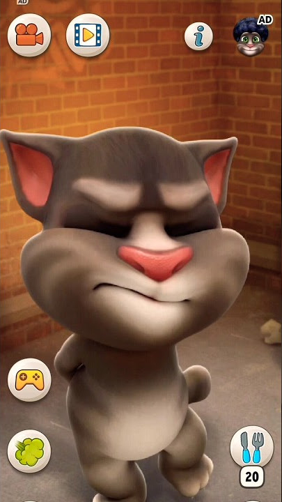 pagal billi#shorts #cat #comedy